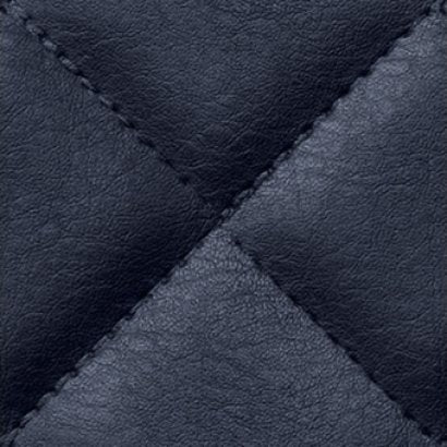 Leather panels 0042